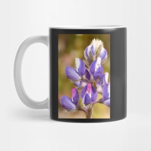 Lupine Flower Mug